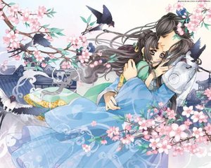 小蓝鸟网页版登录